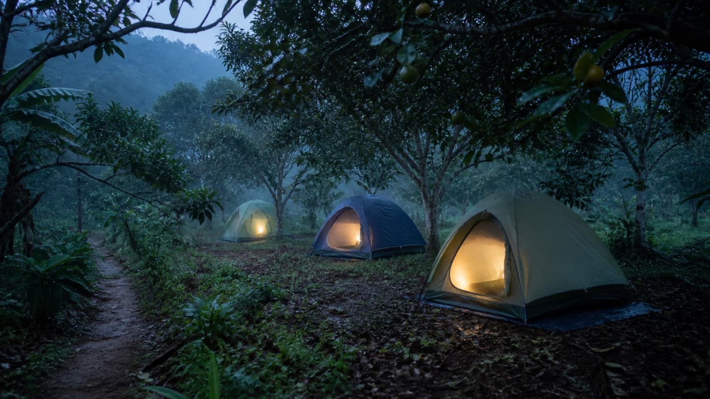 Tenda-tenda berdiri di antara pepohonan kebun menjelang malam