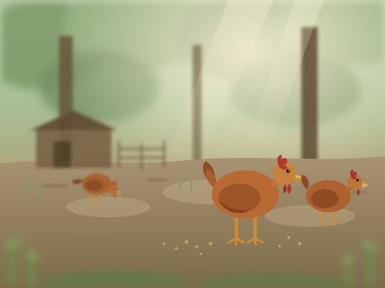 Ayam petelur berkeliaran di lantai kebun di bawah naungan pohon